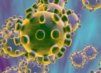 20 preguntas globales del Coronavirus