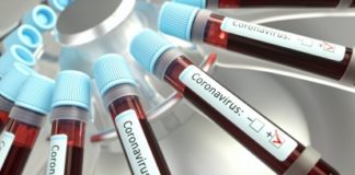 COVID-19 México: Van 20 muertos y 993 casos confirmados