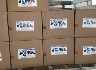 ¿La violencia letal será inmune al contagio del virus y a la recesión económica?