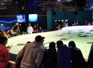 2000 parques de diversión en riesgo de quiebra sin respaldo el estado