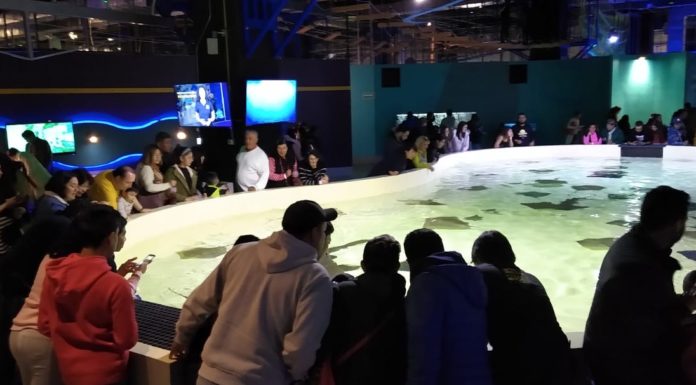 2000 parques de diversión en riesgo de quiebra sin respaldo el estado