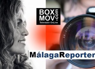 Palabras mass Magazine en Box Mov puro entretenimiento político