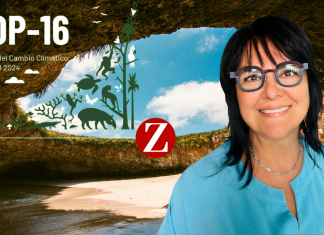 La Bahía de Mi Vida una película de Mati Covarrubias inspirada en Puerto Vallarta y Bahía de Banderas de México.