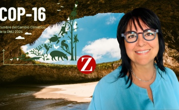 La Bahía de Mi Vida una película de Mati Covarrubias inspirada en Puerto Vallarta y Bahía de Banderas de México.