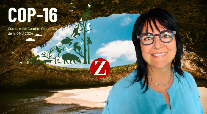 La Bahía de Mi Vida una película de Mati Covarrubias inspirada en Puerto Vallarta y Bahía de Banderas de México.